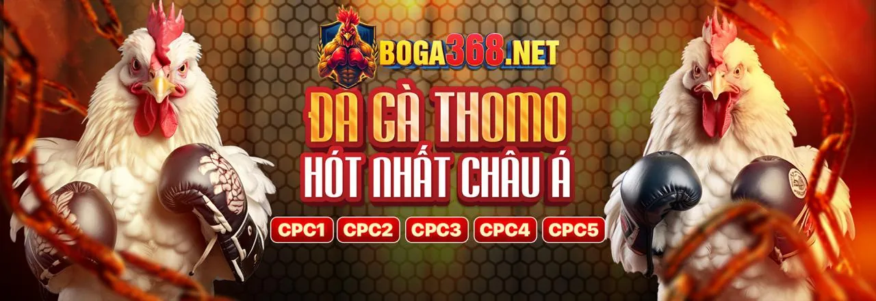Chính sách Cookie shbet80