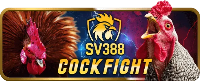 Cá cược thể thao shbet80