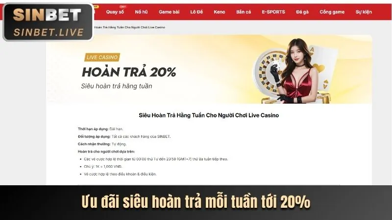 Đánh giá chi tiết trang web chính thức của Shbet80